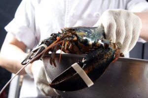 man cooking lobster