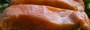 Raw Salmon