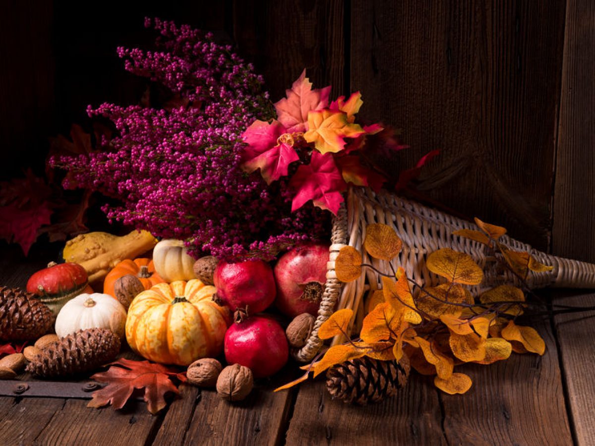 Thanksgiving belly bloat