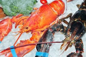 How to Cook Frozen Maine Lobster 