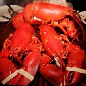 Maine Lobster Dinner for 4