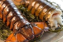 Fresh Maine Lobster Tails