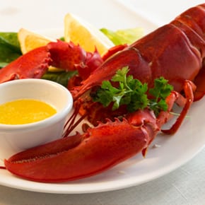 Maine Lobster and Swordfish Dinner for 4