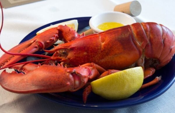 Cooked Maine Lobster with Lemon and Butter