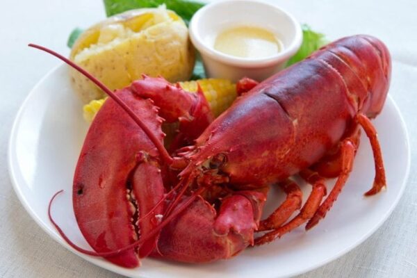 Maine Lobster Plated with Potato, Butter and Corn