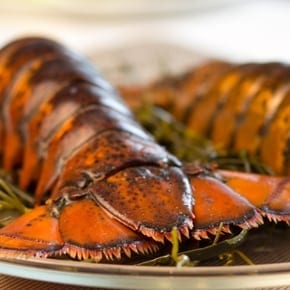 Fresh Frozen Lobster Tails