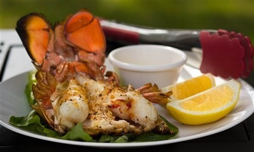 MAINE LOBSTER TAILS