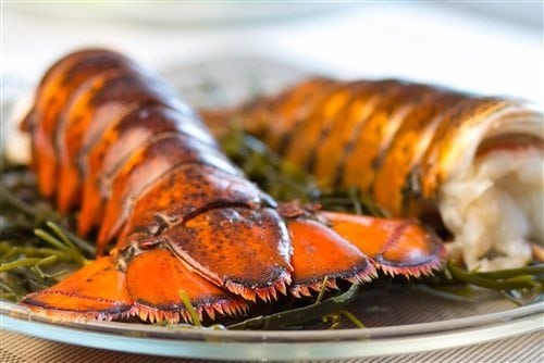 Fresh Maine Lobster Tails