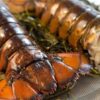 Lobster Tails