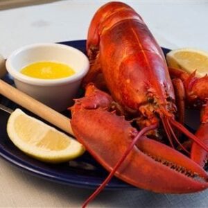 MAINE LOBSTER BAKE SPECIAL