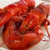 Two Cooked Maine Lobster on Plate