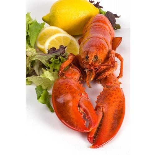 Cooked Maine Lobster with Lemon