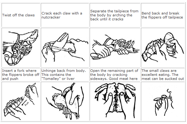 Lobster Boiling Time Chart