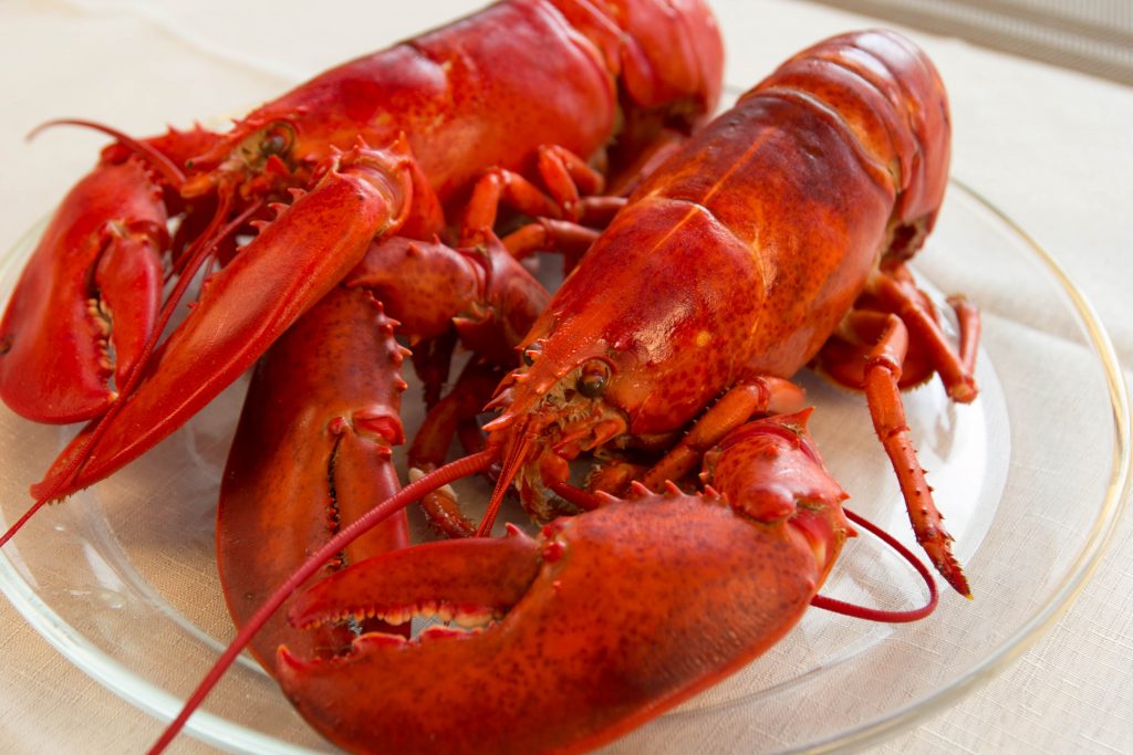 Cape Porpoise Lobster Co. Fresh Cooked Maine Lobster