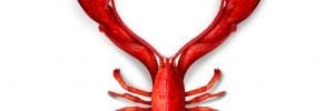 Why Lobsters Are an Aphrodisiac