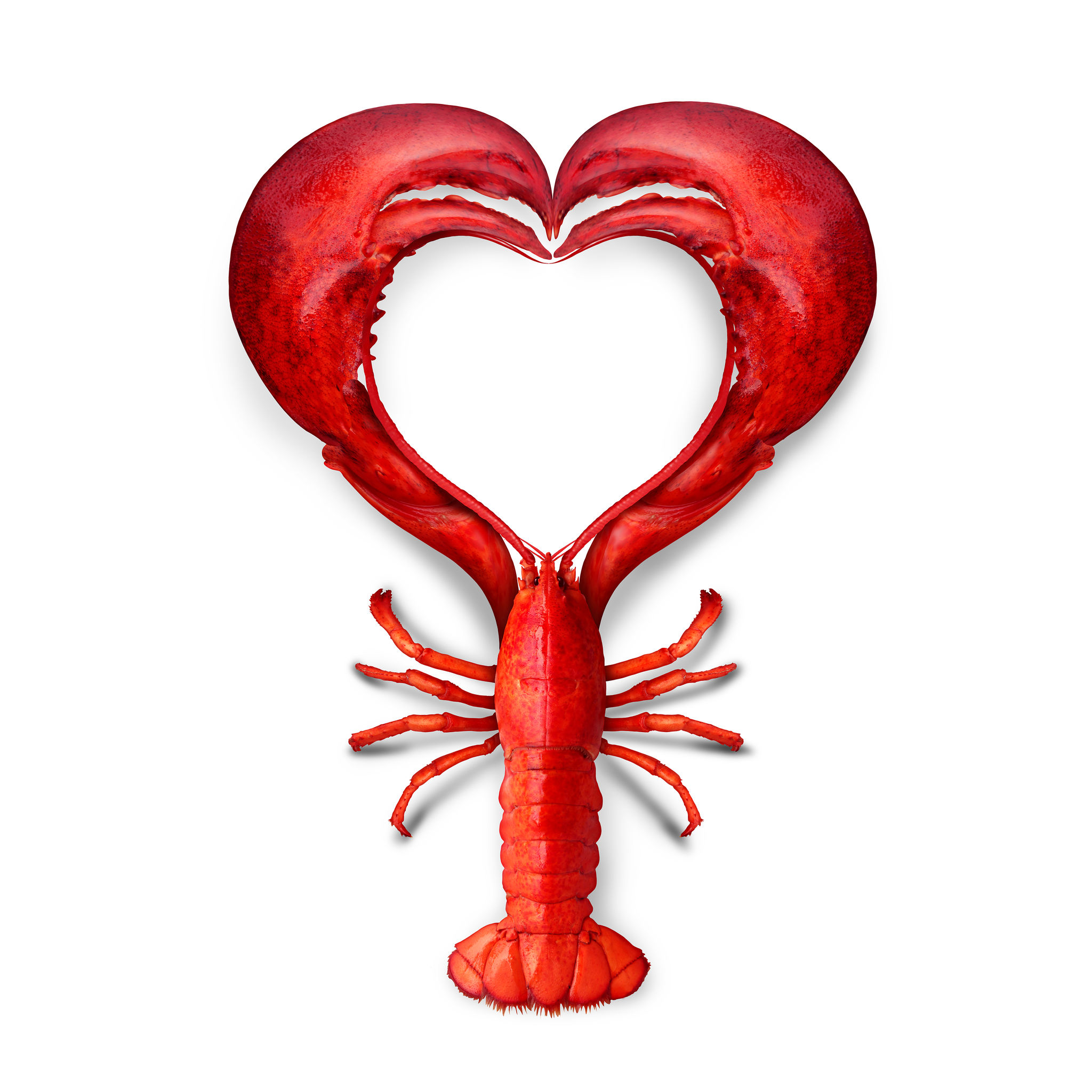 Why Lobsters Are an Aphrodisiac