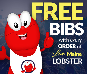 Free Bibs with Every Order of Live Maine Lobster