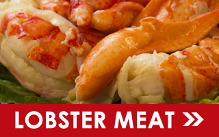 Fresh Maine Lobster Meat