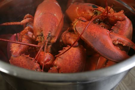 Tips for Boiling Lobster + Valentine’s Day Recipe
