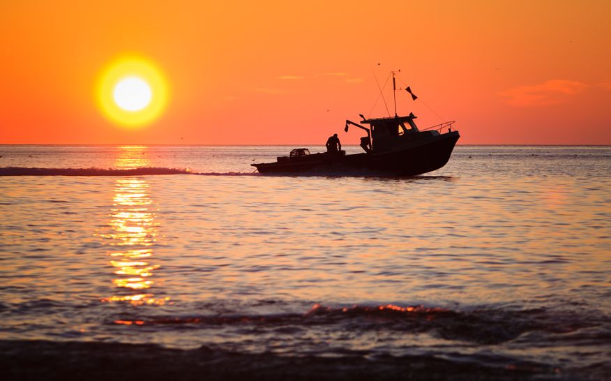 HOW CLIMATE CHANGE IS AFFECTING THE LOBSTER POPULATION