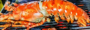 How to Grill Lobster