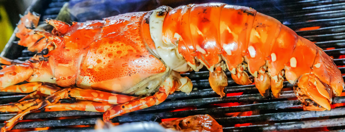 How to Grill Lobster