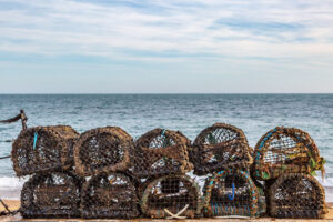 Lobster pots lined up on a beach